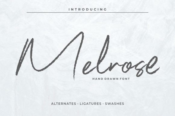 Melrose Font: A Signature Script for Modern Web Design