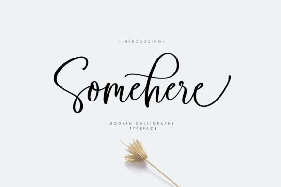 Somehere Font Review: A Dazzling Script for Designers