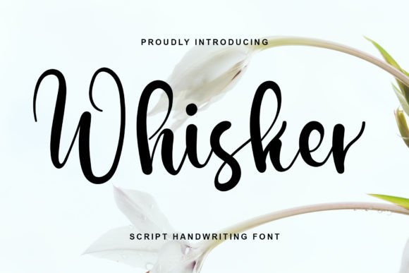Whisker Font: The Perfect Script Typeface for Branding